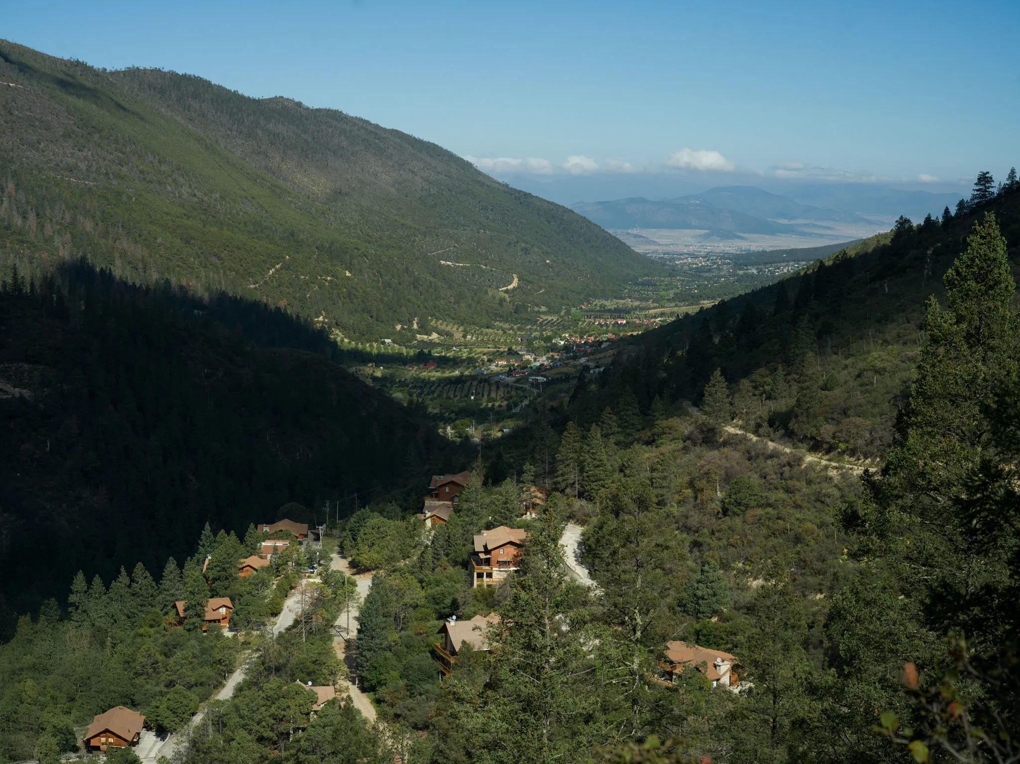 Bosques de Monterreal