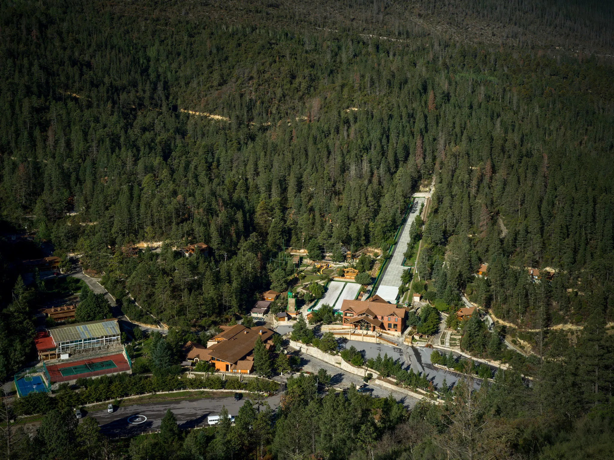 Bosques de Monterreal
